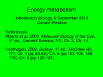 Energy metabolism - Donald Edward Winslow
