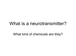 Neurotransmitters - Mayfield City Schools