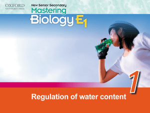 ppt_E1ch01_regulation of water content
