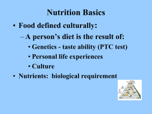 Nutrition Basics