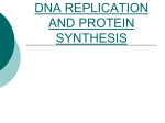 DNA Replication and Protein_Synthesis