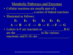 Cell Respiration Student Notes