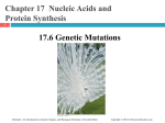 CH_17_6_Genetic_Mutations