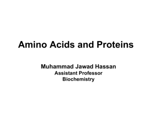 Amino acids and Protein Structure