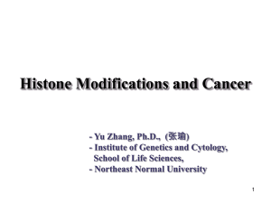 Histone Modifications and Cancer