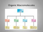 Organic Macromolecules