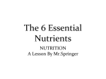 The 6 Essential Nutrients