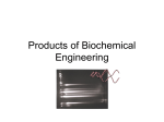 02.Products of Biochemical Engineering.web