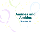 Amines and Amides