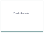 DNA AND PROTEIN SYNTHESIS