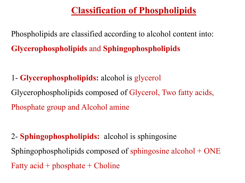 Phospholipids Are Composed Of