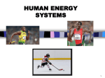 Energy Systems PPT