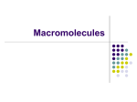 Macromolecules - Dickinson ISD