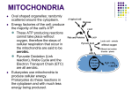 Mitochondrion Pyruvate Oxidation & Kreb`s Cycle