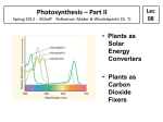 Photosynthesis – Part II