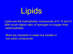 Lipids