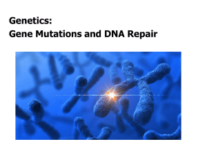 Mutations in genes