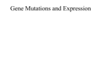 Problems in Replication and Protein Synthesis