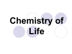 Chemistry of Life biochemistry CHS