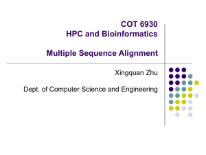 What is a Multiple Sequence Alignment?