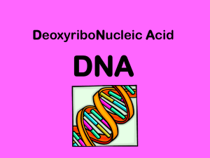 DNA dna_essays