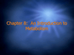 Chapter 8: An Introduction to Metabolism