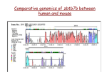 Core Proteome