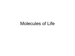Molecules of Life Student Copy