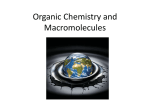 Organic Chemistry and Macromolecules