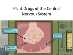 Plant Drugs of the Central Nervous System