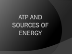 ATP and Sources of Energy