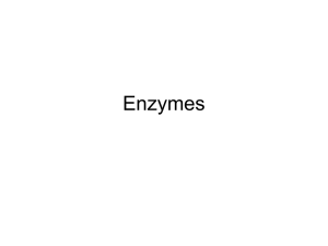 Enzymes