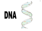 DNA PPT - Alevelsolutions