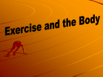 Revision - Exercise Phys