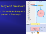 Fatty acid breakdown