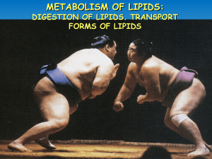 18. Metabolism of lipids 1
