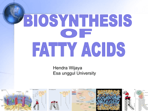 SYNTHESIS OF FATTY ACID Acetyl