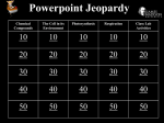 Chapter 2 Cell Processes single jeopardy