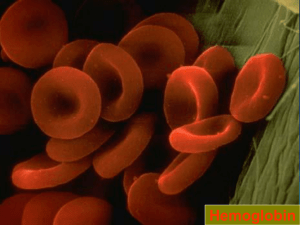Reivew, Hemoglobin