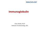 immunoglobulin