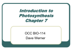 Introduction to Photosynthesis - OCC
