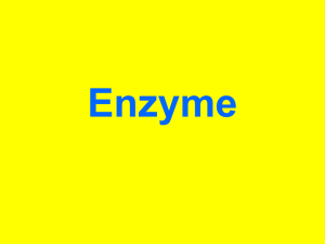 Enzyme