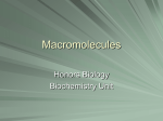macromolecules - BHSBiology-Cox
