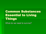 Powerpoint on Essential Substances