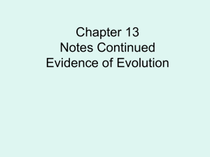 Chapter 13 Notes Continued Evidence of Evolution