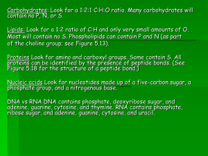 deciphering macromolecules