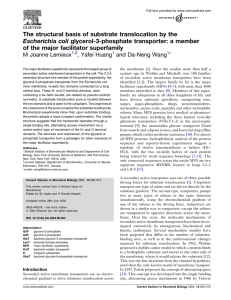 The structural basis of substrate translocation by the