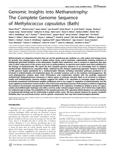 Genomic Insights into Methanotrophy: The Complete Genome Sequence of Methylococcus capsulatus (Bath)