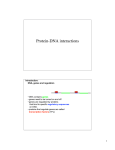 Protein-DNA interactions