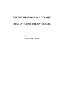 THE MULTIFARIOUS AND DYNAMIC REGULATION OF THE LIVING CELL Karen van Eunen
